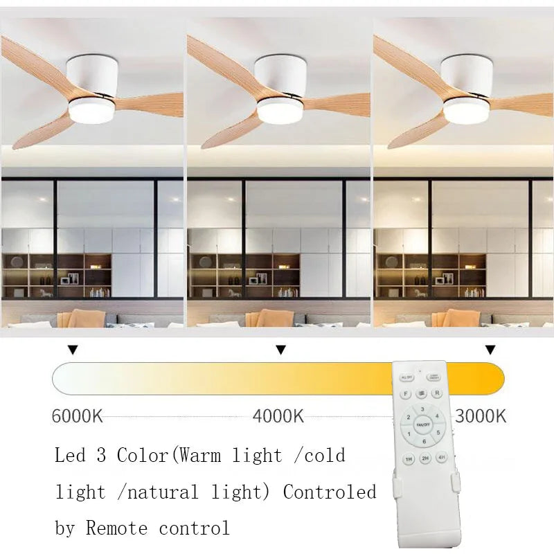 Modern Led Ceiling Fan Without Lights DC Motor 6 Speeds Timing Fans